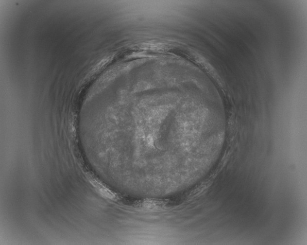 X0000080680305200701051041