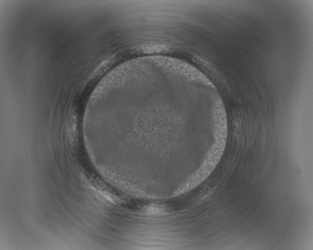 X0000080680308200701051041