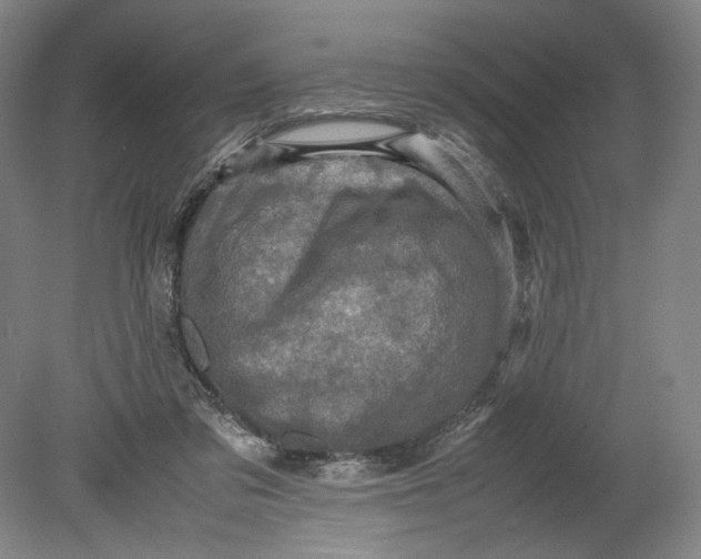 X0000080680309200701051041