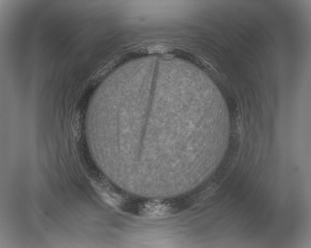 X0000080680311200701051041