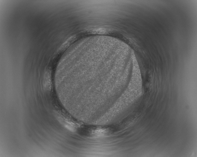 X0000080680312200701051041