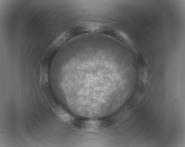 X0000080680313200701051041