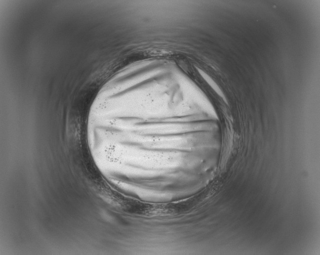 X0000080680315200701051041