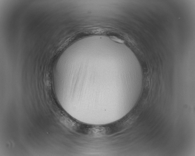 X0000080680317200701051041