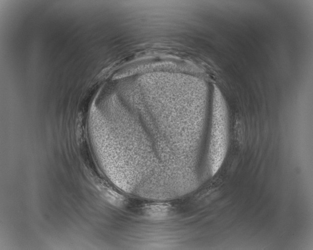 X0000080680318200701051041