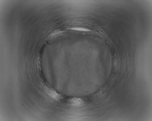 X0000080680322200701051041