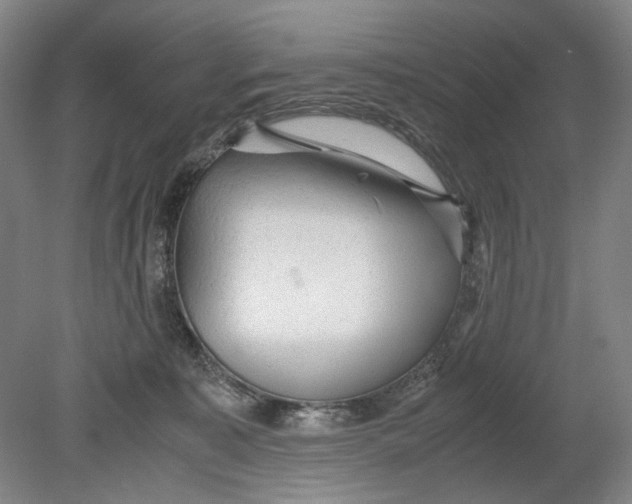 X0000080680323200701051041