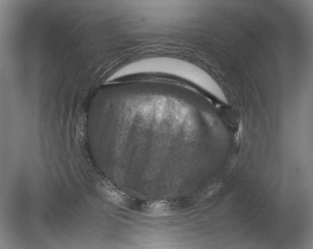 X0000080680325200701051041