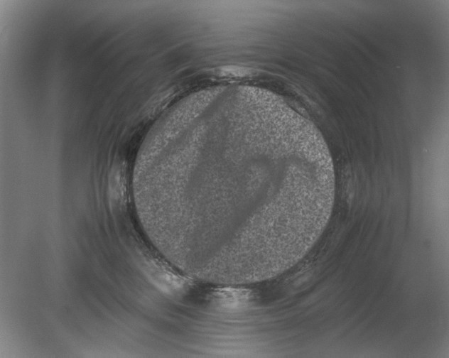 X0000080680328200701051041