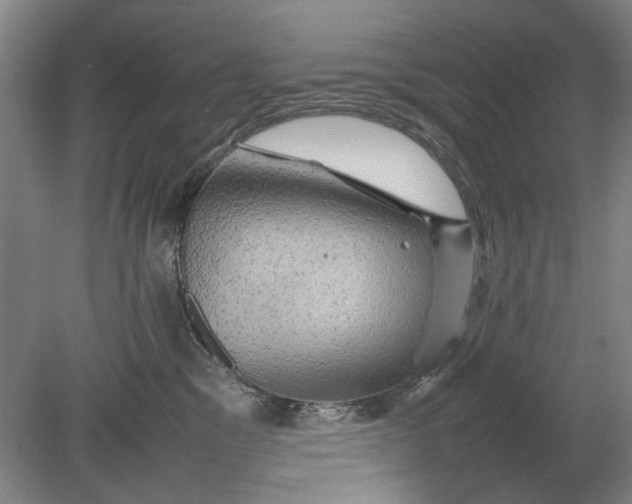 X0000080680329200701051041