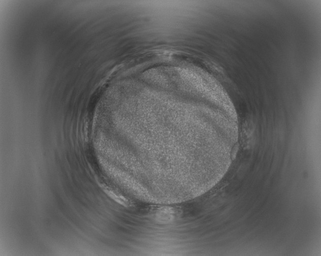 X0000080680330200701051041