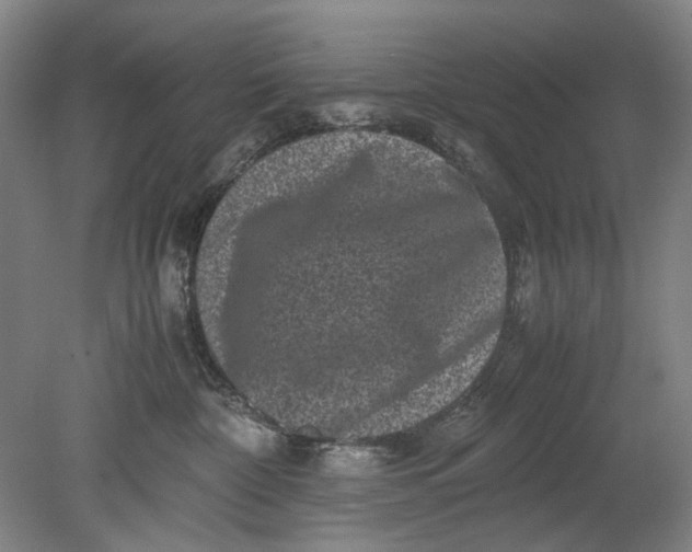 X0000080680332200701051041