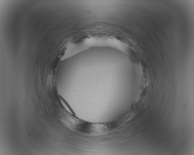 X0000080680333200701051041