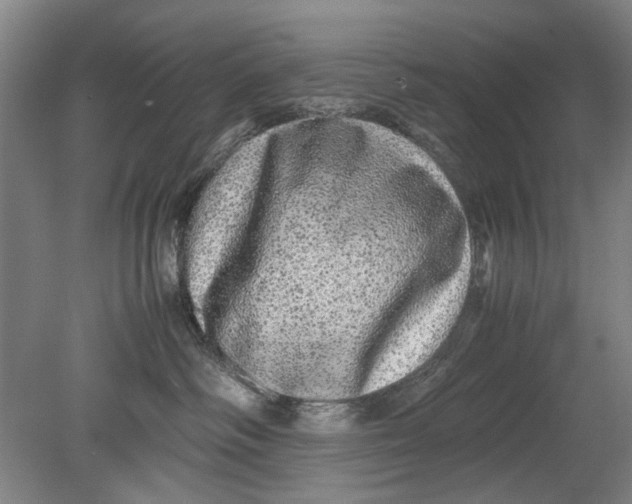 X0000080680334200701051040