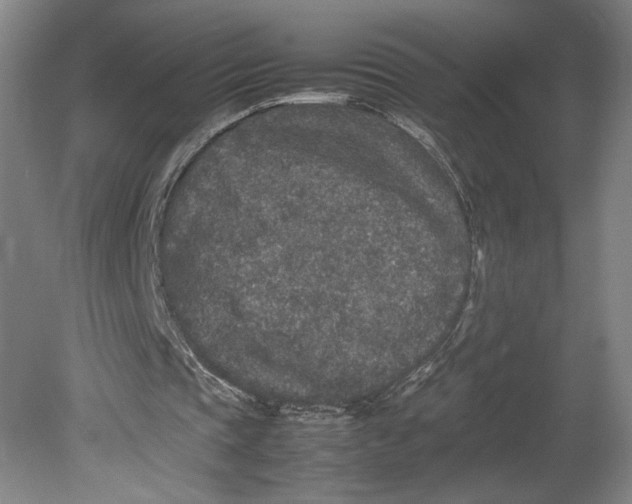 X0000080680337200701051040