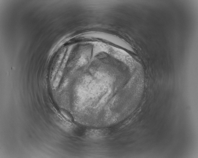 X0000080680341200701051040