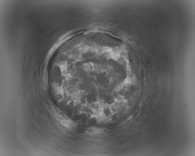 X0000080680343200701051040