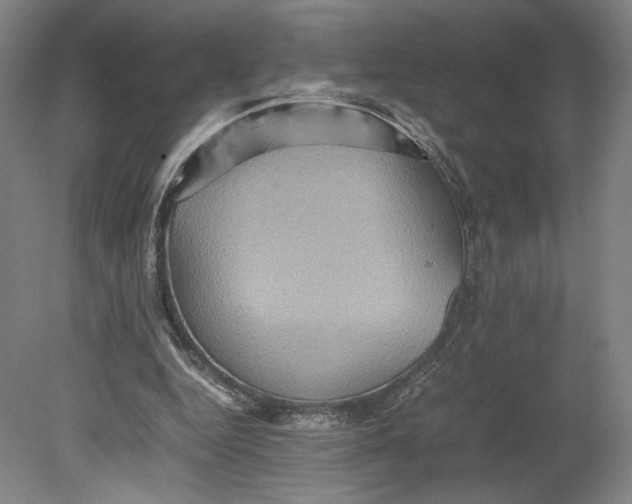 X0000080680344200701051040