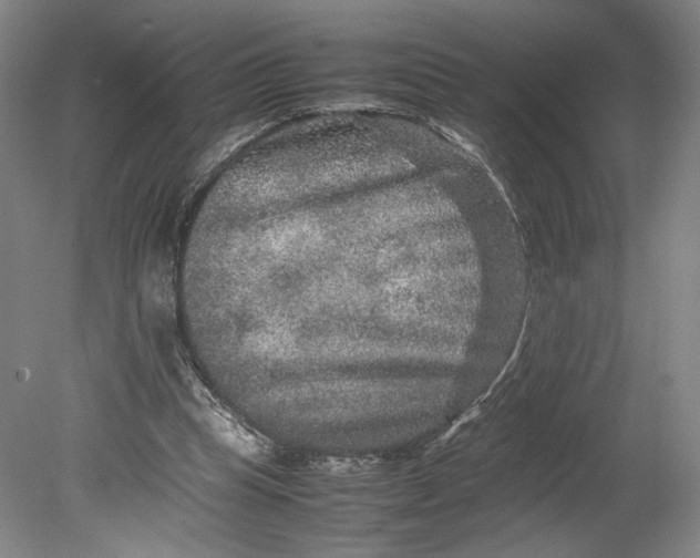 X0000080680345200701051040