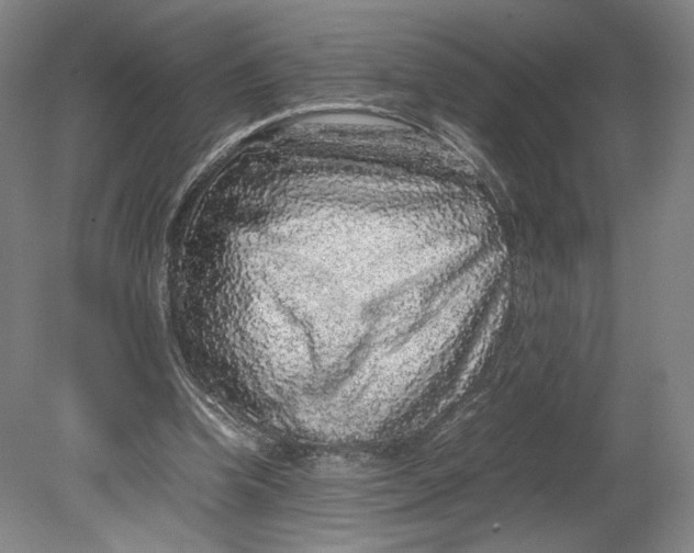 X0000080680346200701051040