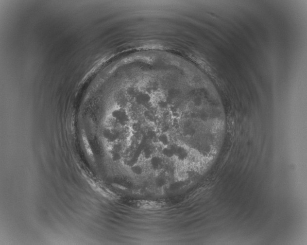 X0000080680347200701051040