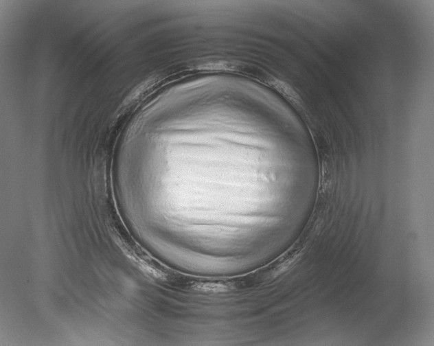 X0000080680349200701051040