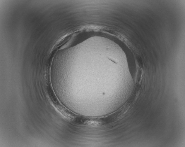 X0000080680352200701051040