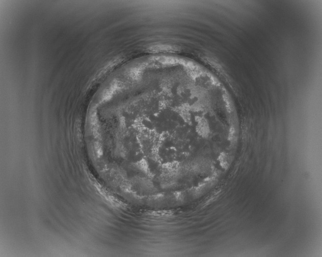 X0000080680353200701051040