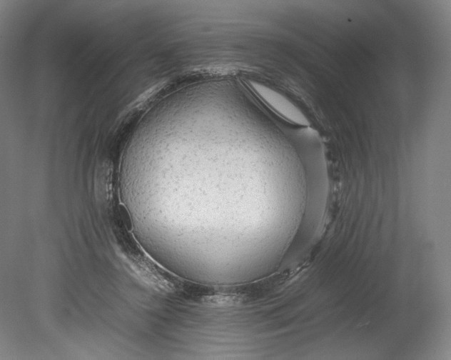 X0000080680356200701051040