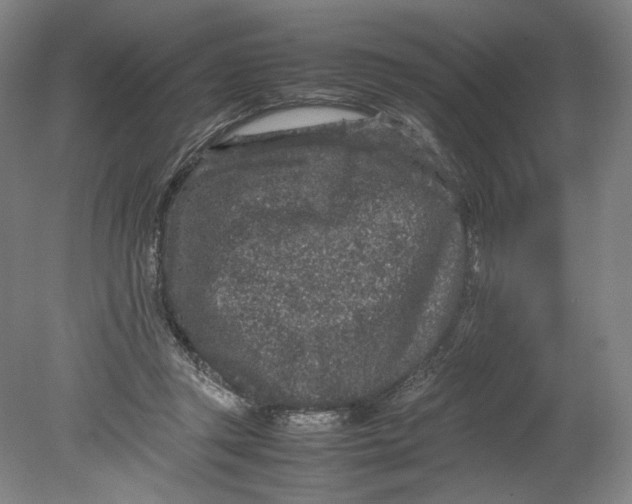 X0000080680357200701051040