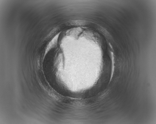 X0000080680358200701051040