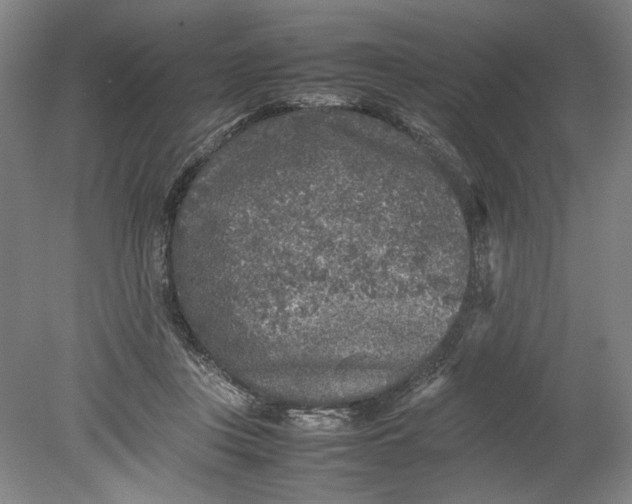 X0000080680359200701051040