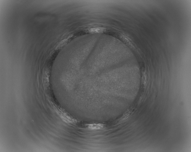 X0000080680363200701051040