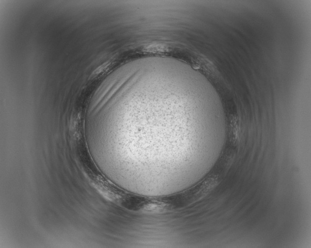 X0000080680364200701051040