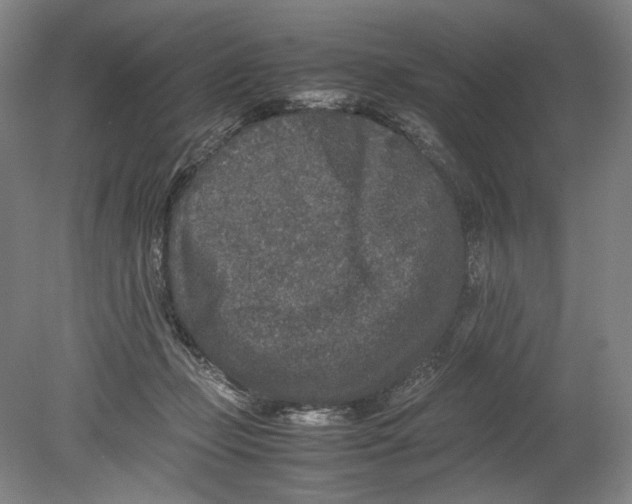 X0000080680365200701051040