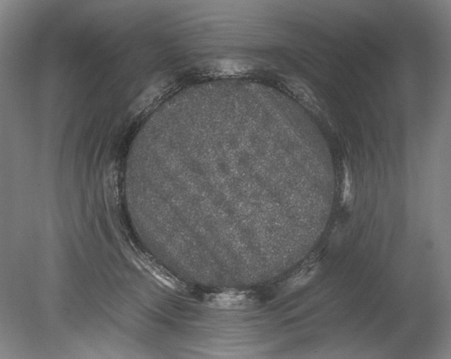 X0000080680366200701051040