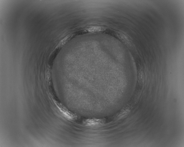 X0000080680367200701051040