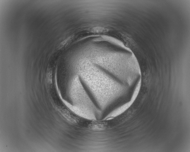 X0000080680368200701051040