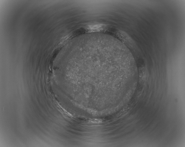 X0000080680369200701051040