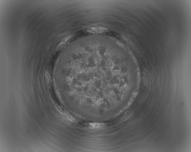 X0000080680371200701051040