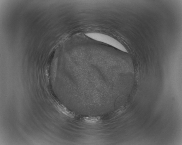 X0000080680373200701051040