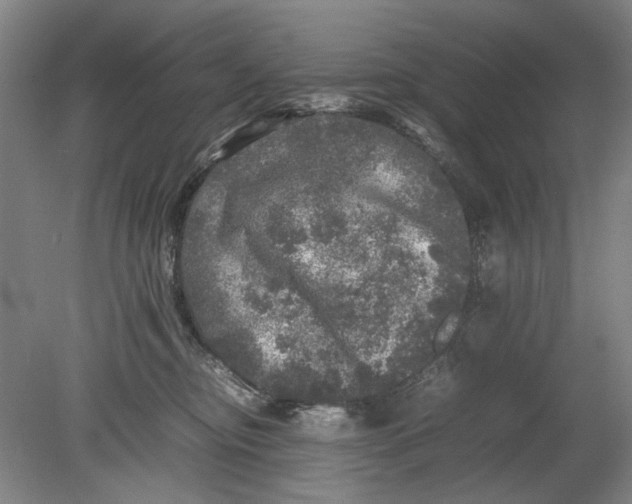 X0000080680374200701051040