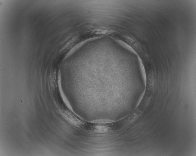 X0000080680376200701051040