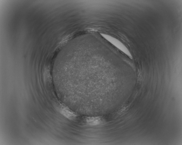 X0000080680377200701051040