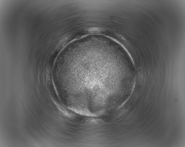 X0000080680379200701051040