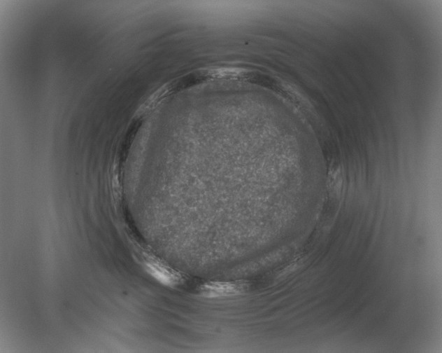 X0000080680381200701051040