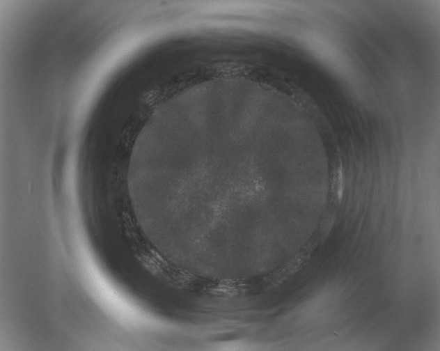 X0000080680383200701051040