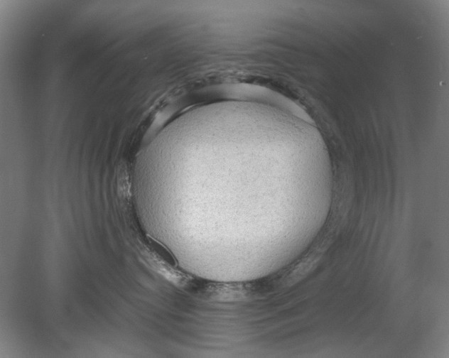 X0000080680384200701051040