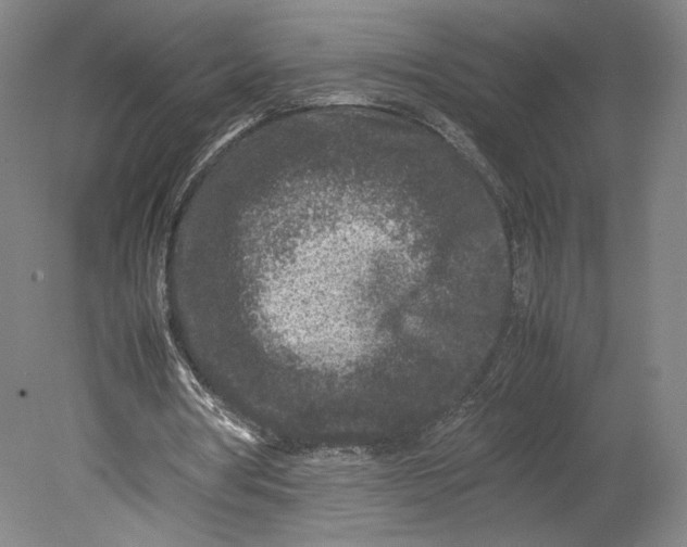 X0000080680386200701051040