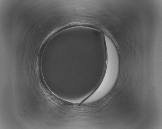 X0000080680387200701051040